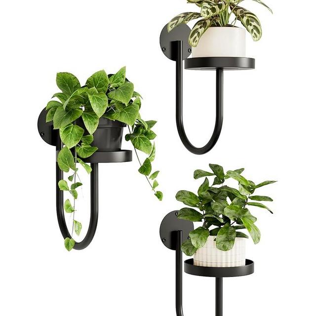 Bamworld Wall Plant Holder Wall Planters for Indoor Plants Plant Hanger Indoor Window Plant Shelves Hanging Plant Holder Window Plant Hanger Plant Decor Black 3pcs