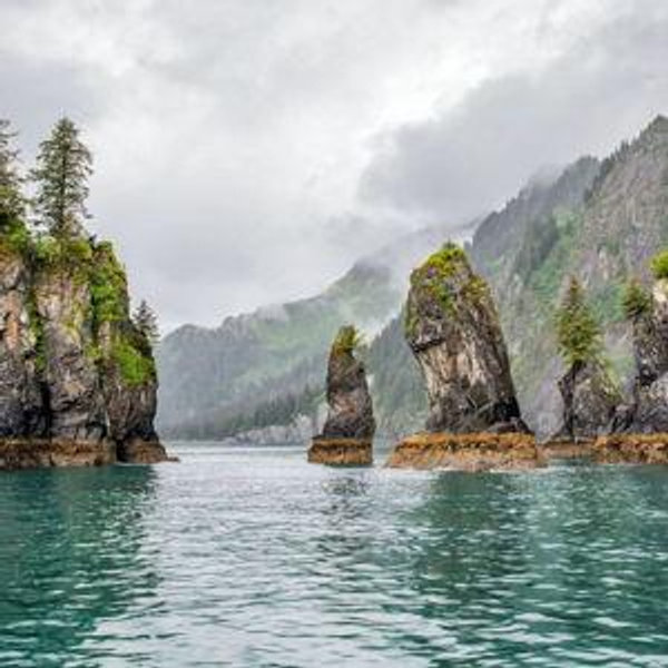 Bike and Kayak Rentals