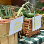 Steamboat Farmers Market!