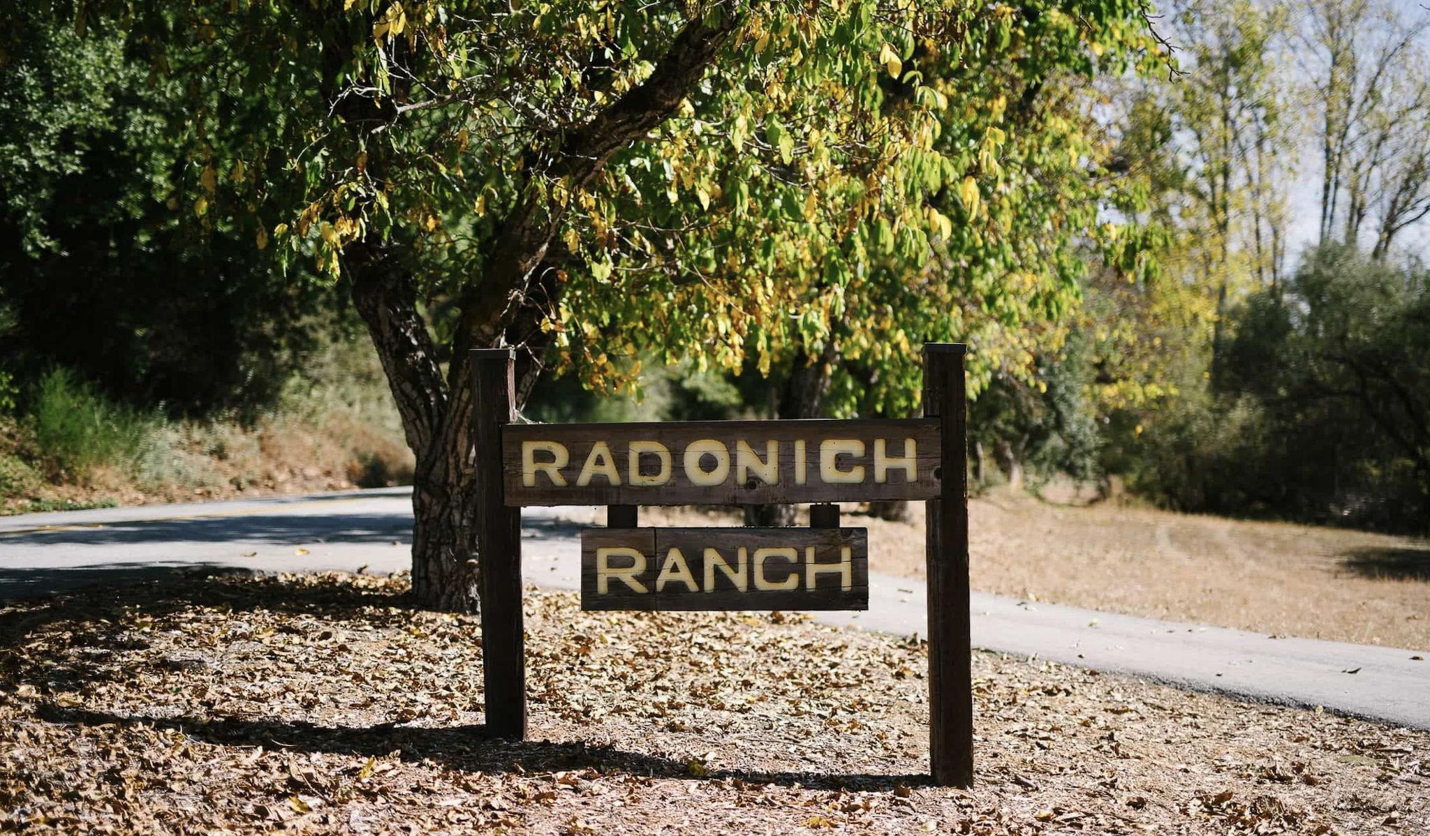 The Wedding Website of Bruno Boltz and Jaden Ring Robinson