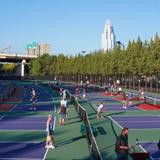 Sawyer Point Pickleball & Tennis Courts