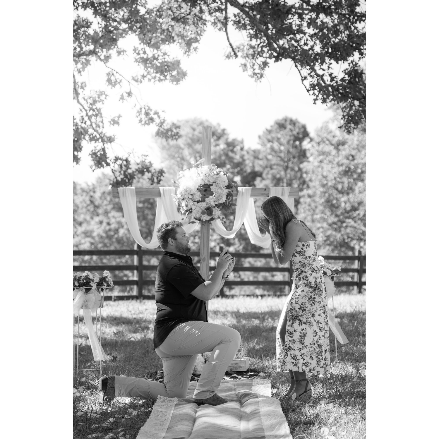 The Proposal!! (8-30-25)