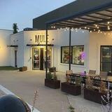 The Mule