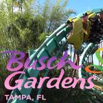 Busch Gardens Tampa Bay
