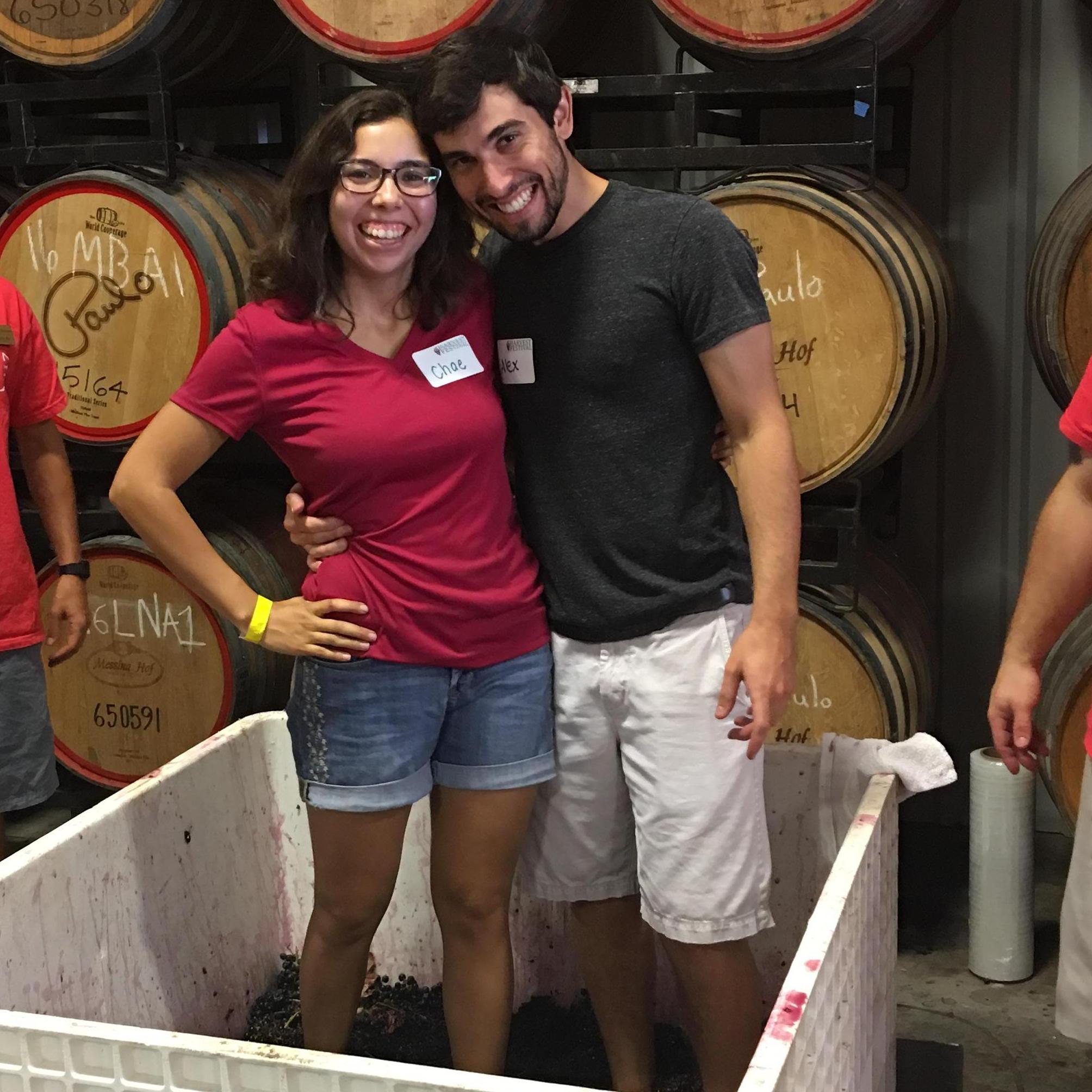 Grape stomping at Messina Hof Harvest Festival