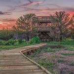 Skidaway Island State Park