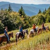 Autumn Breeze Stables