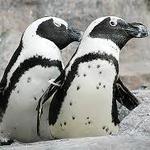 The Mystic Aquarium