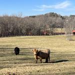 June Farms