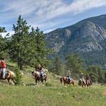 Horseback riding