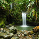 El Yunque National Forest