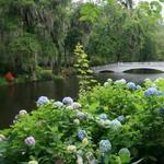 Magnolia Plantation Road