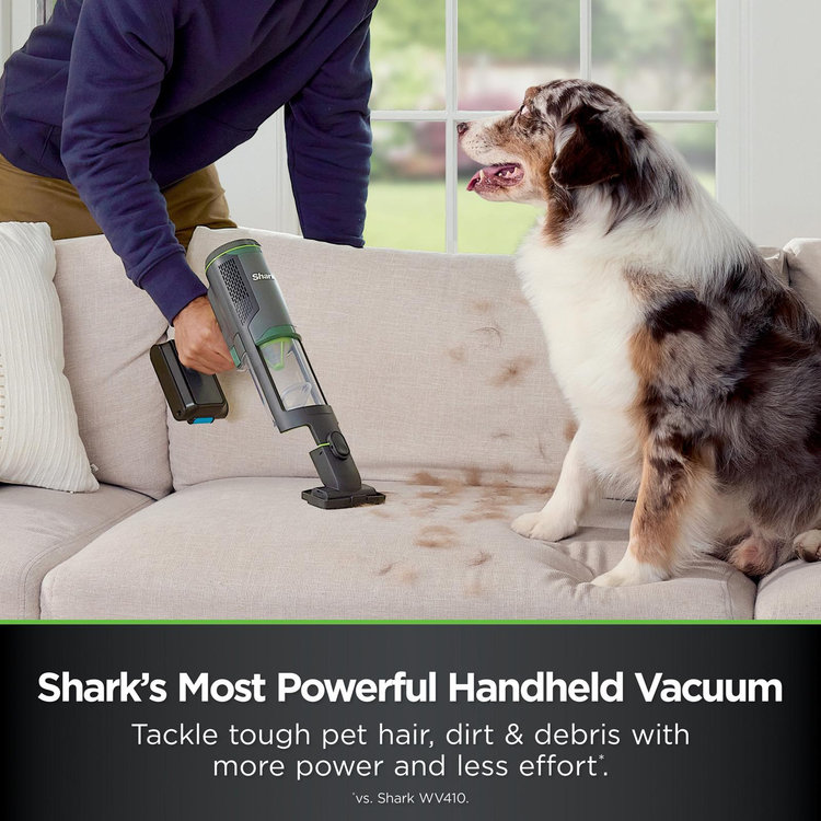 Shark, PowerBoost Cordless 2-in-1 Car & Home Handheld Vacuum | Zola