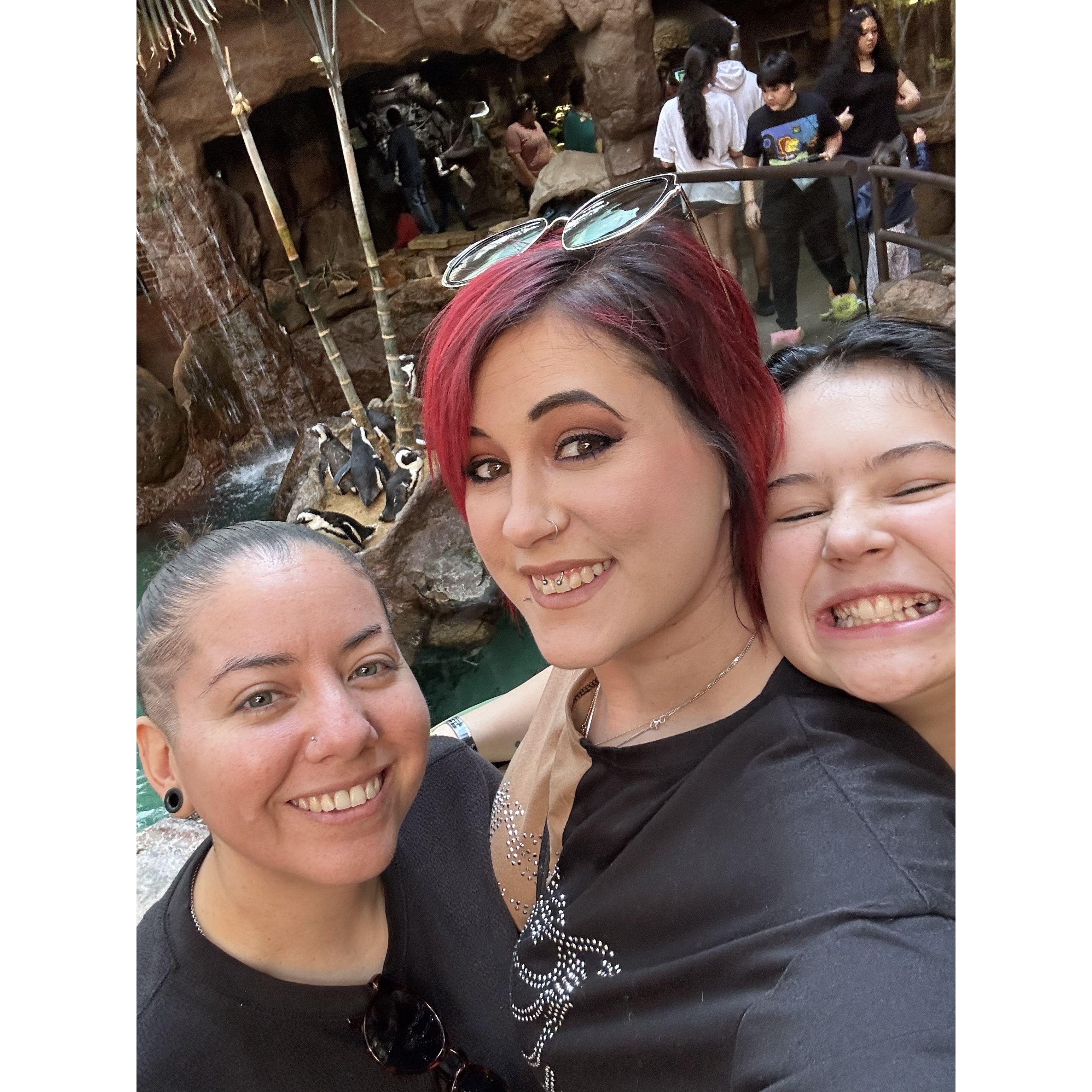 How we started off the New Year, at the Dallas Aquarium!
