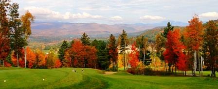 The Wedding Website of Nicole Duchesne and Michael McCarthy
