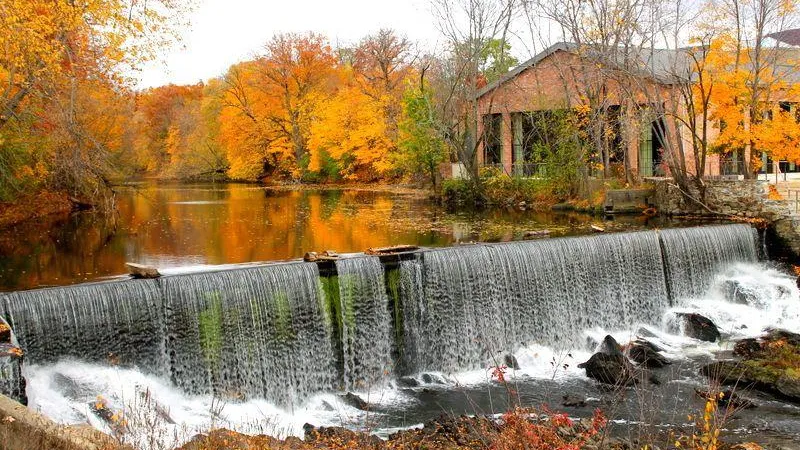 The Wedding Website of Nathan Mills and Bobby Mora