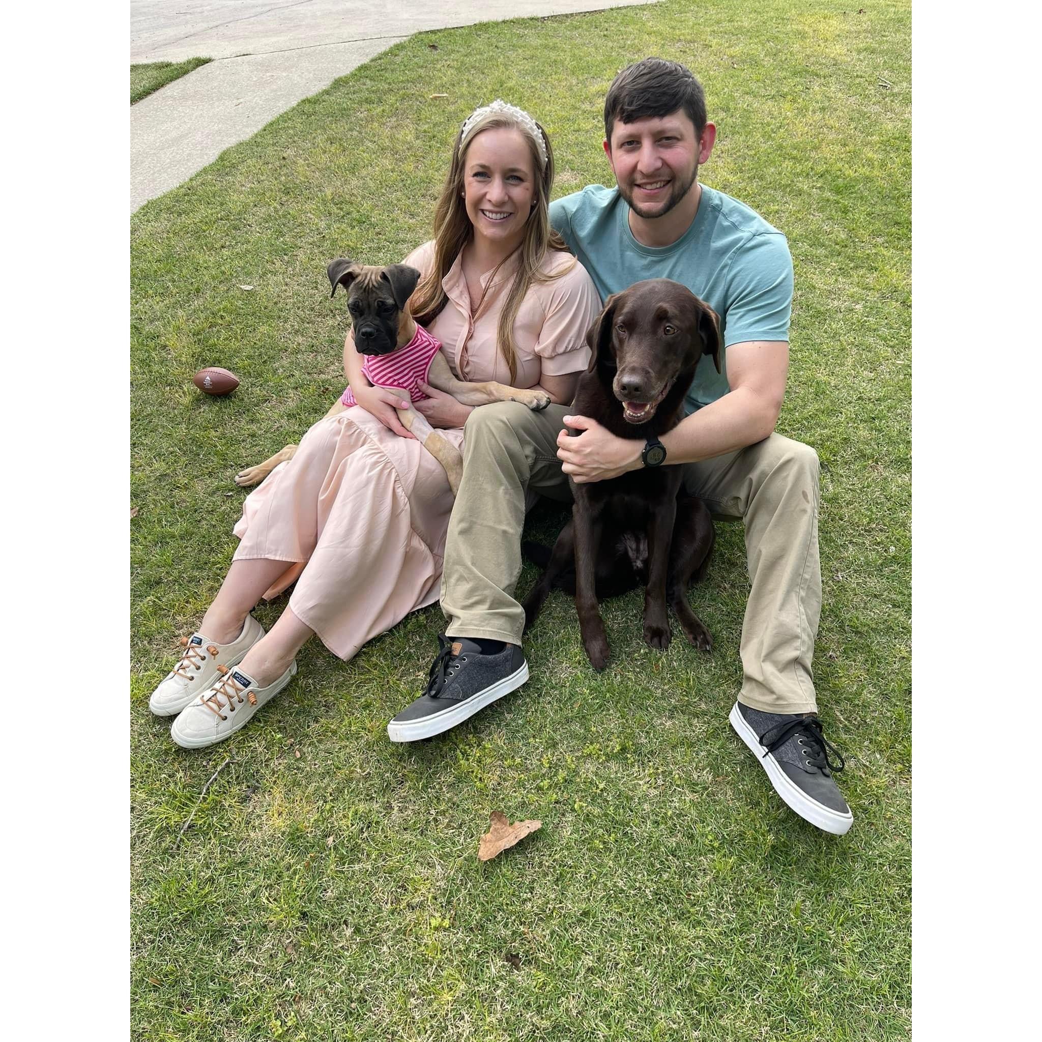 Learning how to be successful foster dog parents!