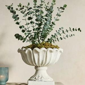 Flora Concrete Urn