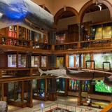 Bishop Museum