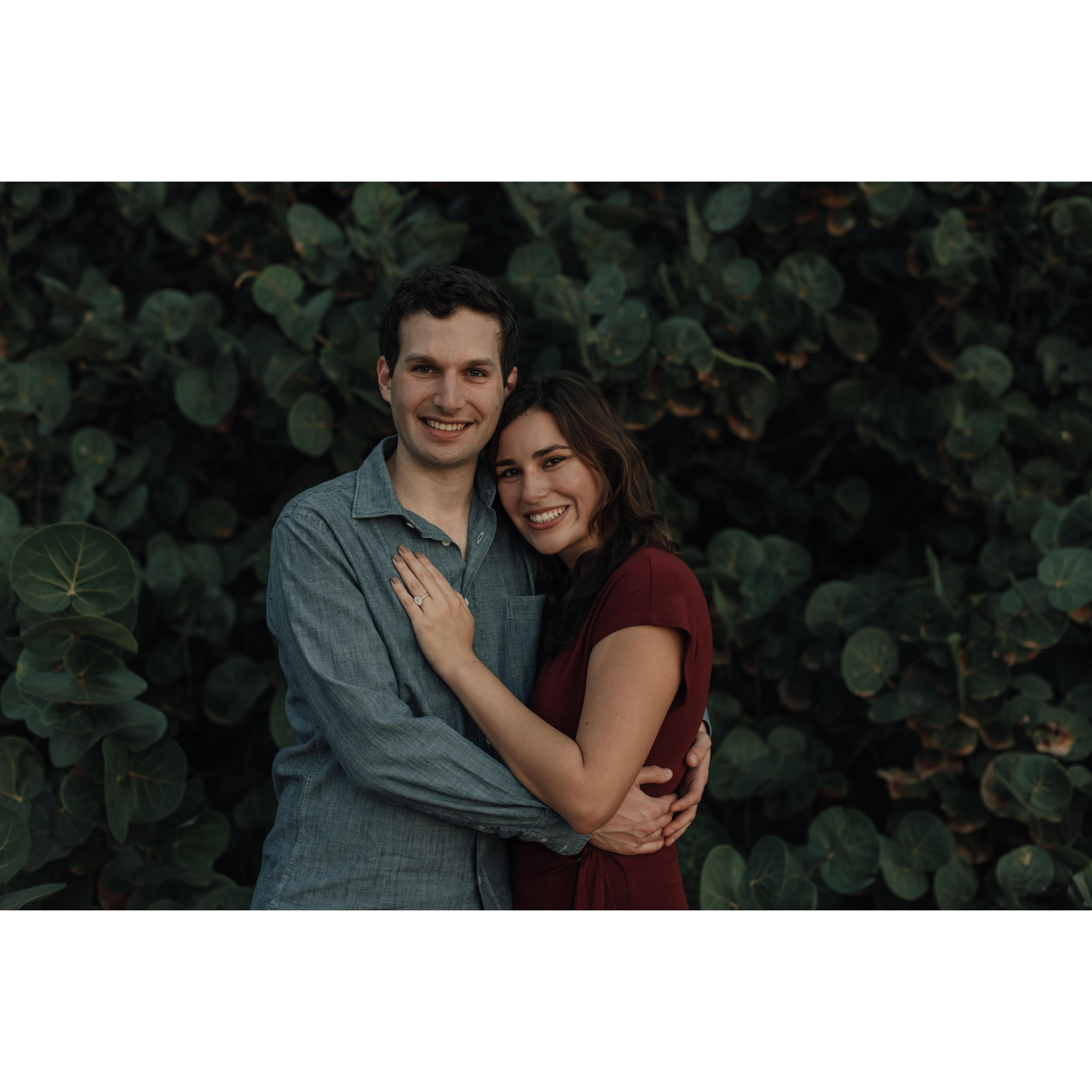 Engagement | Hawaii, Dec 2019
