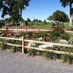 Cottonwood Golf Course