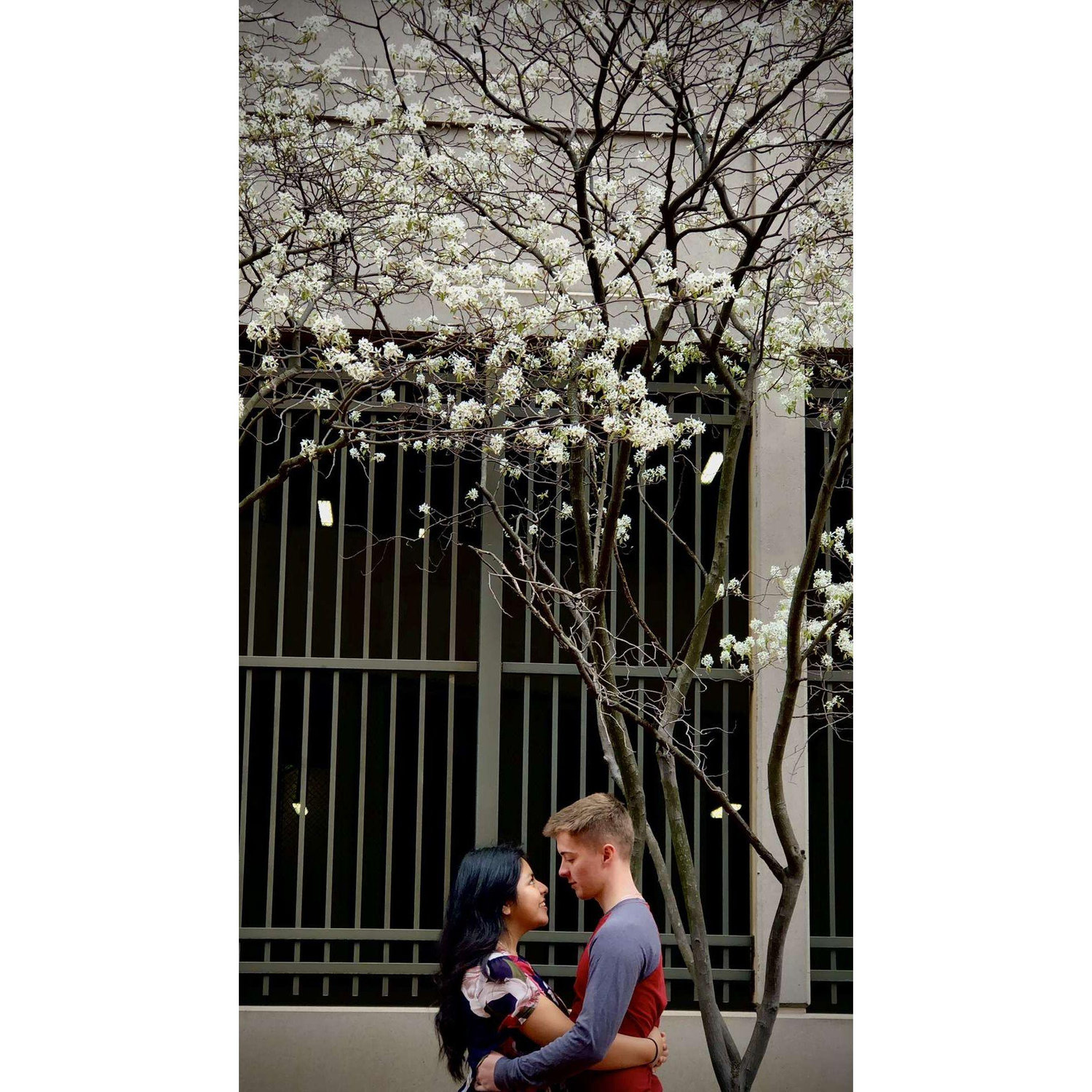 My favorite photo of all time