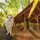 Ohio Bird Sanctuary