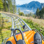 Mustang Mountain Coaster