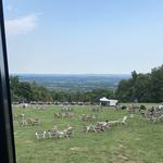 Bear Chase Brewing Company