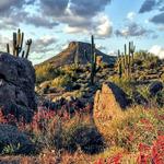 McDowell Sonoran Preserve Gateway Trail