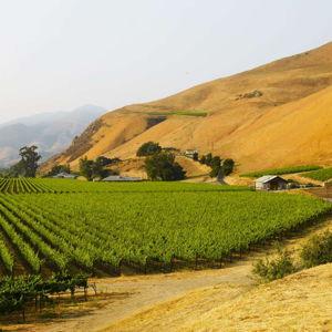 Wine Tasting @ Paso Robles