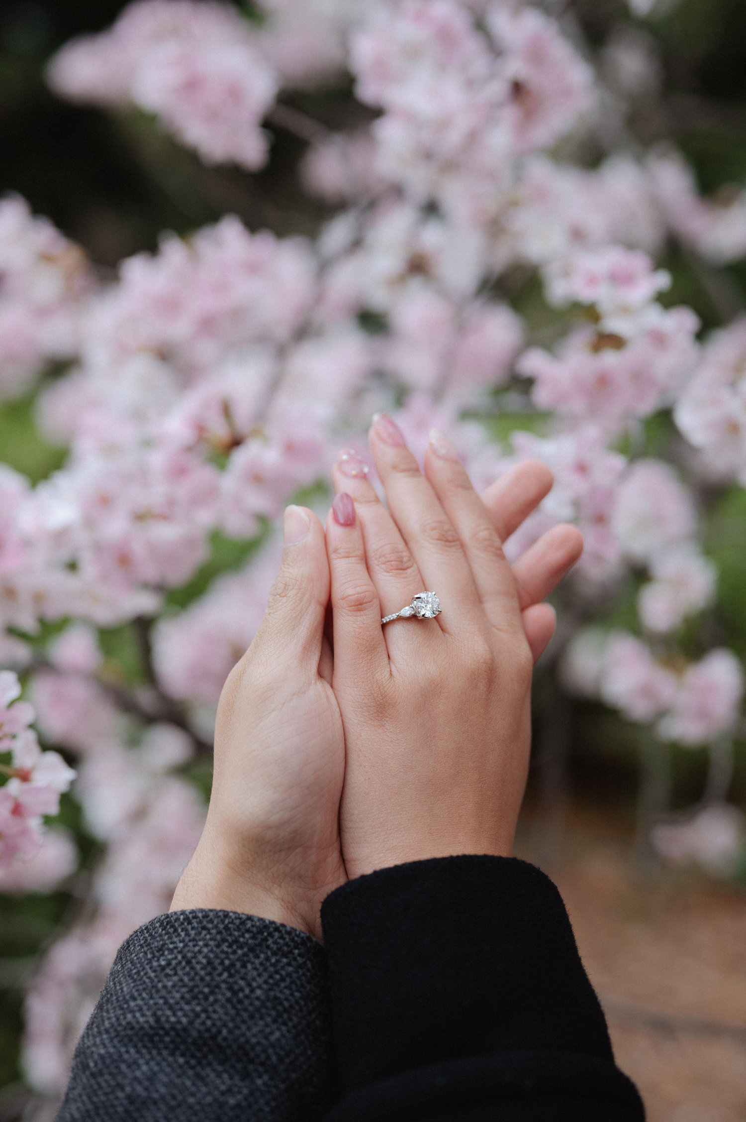 The Wedding Website of Jackson Tsoi and Brittany Lee