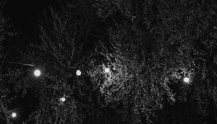 The Wedding Website of Kelsey Anderson and Kurt Settembre