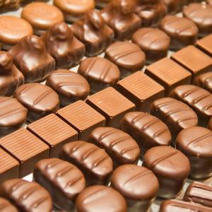 Belgian Chocolate Fund