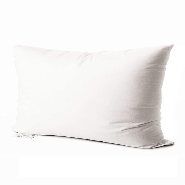 EDOW Luxury Throw Pillow Insert, Soft Fluffy Down Alternative Polyester Square Form Decorative Pillow Insert,Sham Stuffer,Cotton Cover for Sofa, Couch,Bed and Car. (White, 12x20)