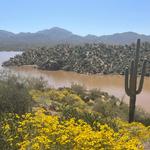 Visit Tonto National Forest