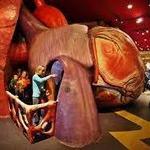 Kid-Friendly Attractions