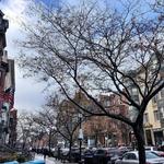 Newbury Street Shops
