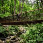 Forest Park