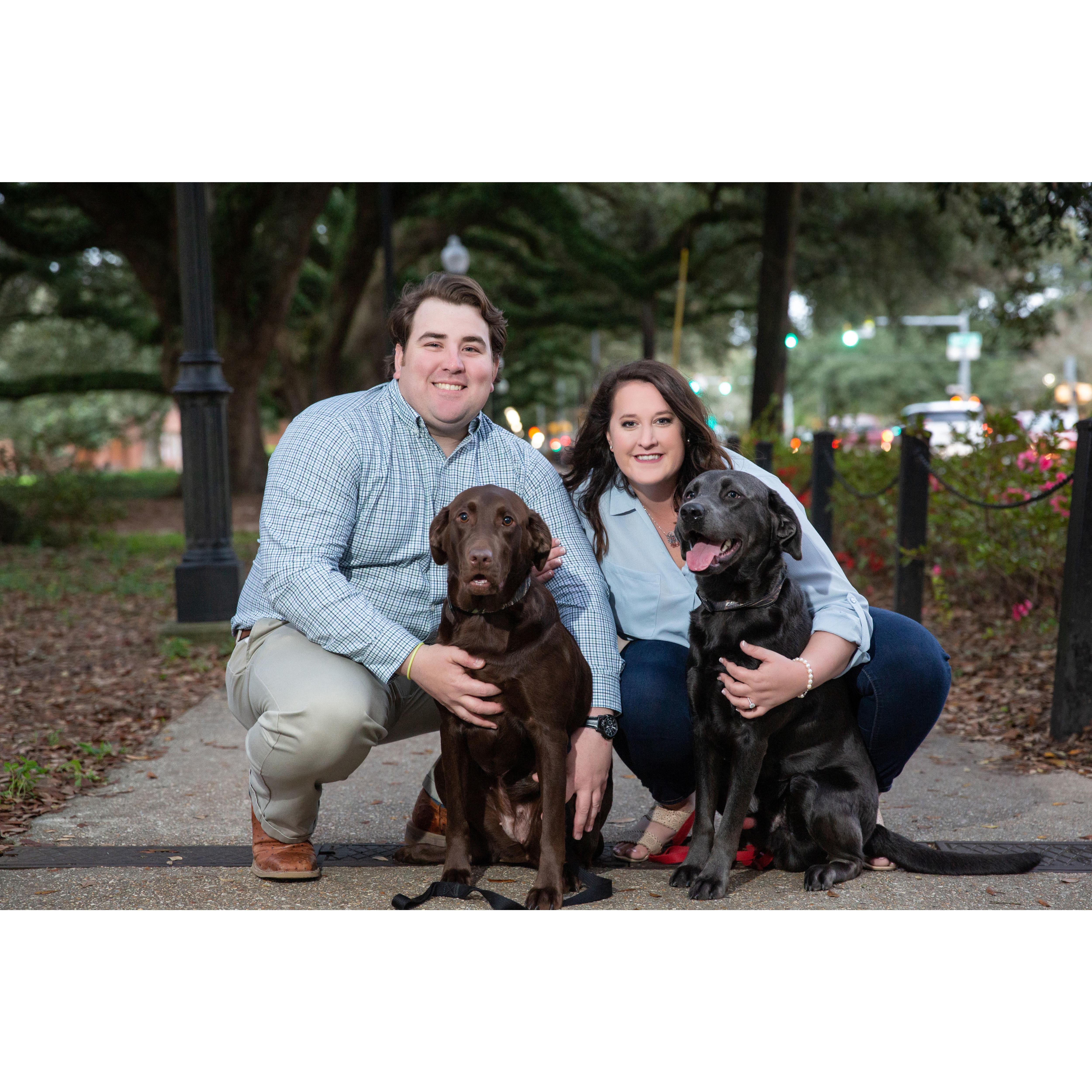 From left to right: Eric the human, Belle the chocolate, Abbie the human, and Moose the charcoal