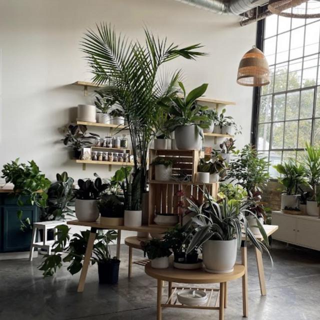 Grigsby Green Thumb Plant Fund