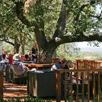 Relax at a Vineyard