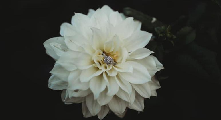 Footer image