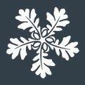 Oakflower Brewing Company