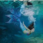 Weeki Wachee Springs (Day Trip)