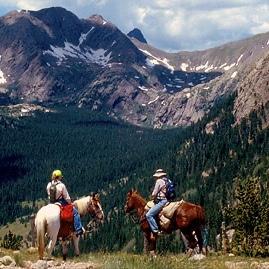 Horseback Riding On Our Honeymoon