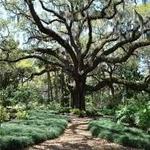 Washington Oaks Gardens State Park