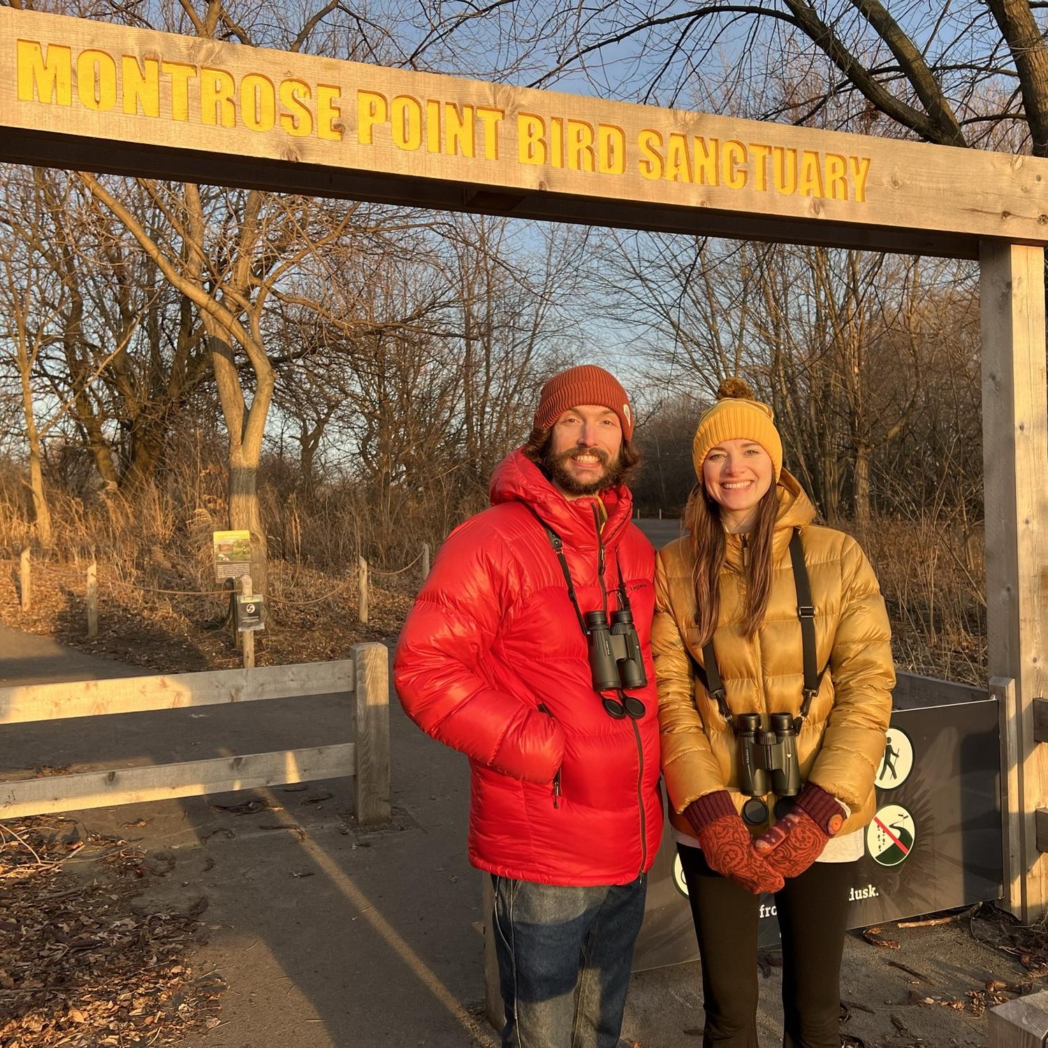 Chicago Birding - January, 2023