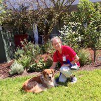 Meet our celebrity - Mr. Humphrey Bogart. He is becoming as famous as his name with the Summey Medical Pavilion staff, patients and family members.