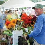 Farmer's Market